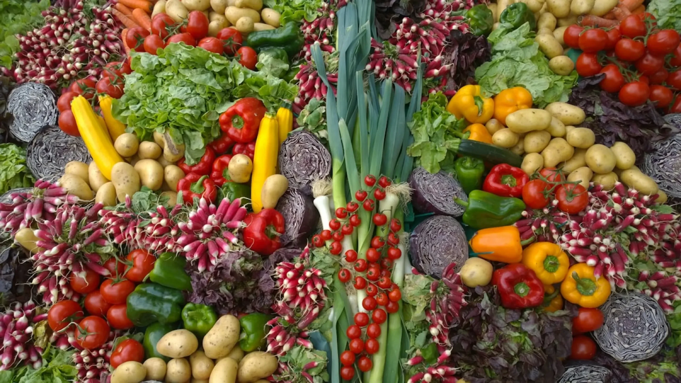 Domates Konserve — Doğranmış 2.5kg #46